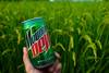 3 ящика Mountain Dew в банках