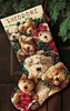 9136 Teddy Togetherness Stocking (нов. носок)