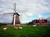 Поездка в Нидерланды
