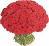 Сплю и вижу огромный букет из 101 красной голландской розы
