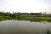 1 day at Niausung Wetland Park