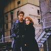 The X Files