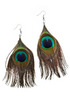 Peacock Feather Earrings