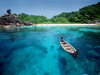 paradise delight