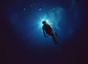 Окно в подводный мир