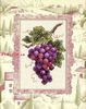 DIMENSIONS 06888 Grapes on Vine
