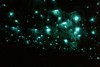 пещера Уэйтомо Глоуворм (Waitomo Glowworm)