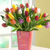 Большущий букет разноцветных тюльпанов