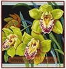 Орхидеи (Janlynn)