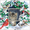 Зимний котенок (Winter Kitten) DMS-73504