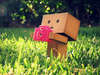 Danbo