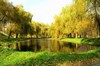 Центральный парк г. Смела, Украина