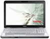 Ноутбук Toshiba Satellite L500-1WR