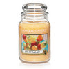 Fruit Salad™ Large Jar Candle