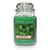 Fresh Mint Large Jar Candle