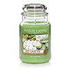 Key Lime Pie Large Jar Candle