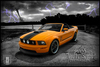 Оранжевый Ford Mustang