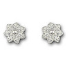 Swarovski Liddy Pierced Earrings