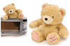 microwave bear