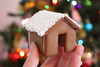 tiny gingerbread house