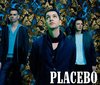 концерт PLACEBO в Москве