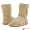 UGGS