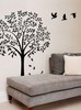 Vinyl Wall Art Decal -- Autumn Tree Decals