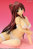 ToHeart2 Tamaki Kosaka Season 2 Miyazawa Mokei Limited Edition Complete Figure[Kaitendo]