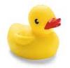 rubber duck