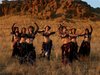 Занятия Tribledance (женские племенные танцы)
