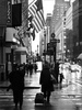 walk after the rain