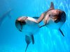 Поплавать с дельфинами в море/океане