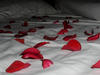 bed of roses