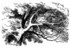 Алиса в стране чудес. худ Тенниел