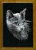 "Серый кот" от Риолис