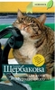 Галина Щербакова «Эдда кота Мурзавецкого»