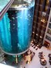 Увидеть гигантский аквариум в Берлине