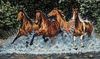 35214 Бегущие лошади (Galloping Horses)
