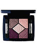 Dior 5 Color Eyeshadow