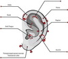 сделать хотя бы ещё один прокол уха (хряща), а лучше два