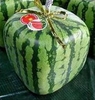 хочу арбуз