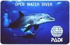 курс Open Water Diver