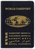 Паспорт Гражданина Мира