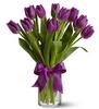 Букет из фиолетовых и кремовых тюльпанов