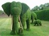 слона из травы