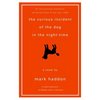 A Curious Incident of a Dog in the Night-time