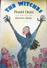 roald dahl the witches