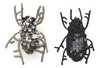 Ann Demeulemeester Beetle Brooch