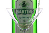 бутылка Martini