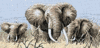 Power Of The Serengeti Elephant